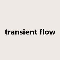 transient flow是什么意思