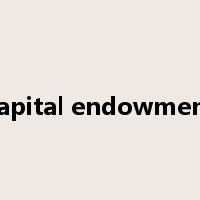 capital endowment是什么意思