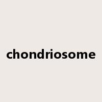 chondriosome是什么意思