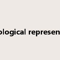 phonological representation是什么意思
