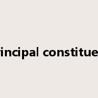 principal constituent是什么意思