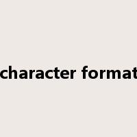 character format是什么意思