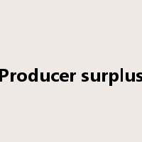 Producer surplus是什么意思