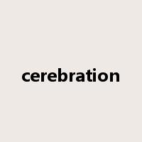 cerebration是什么意思