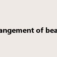 arrangement of beams是什么意思