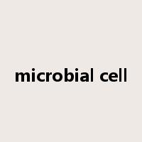microbial cell是什么意思