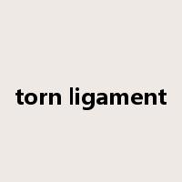 torn ligament是什么意思