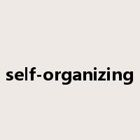 self-organizing是什么意思