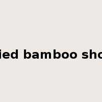 dried bamboo shoot是什么意思