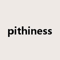 pithiness是什么意思