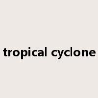 tropical cyclone是什么意思