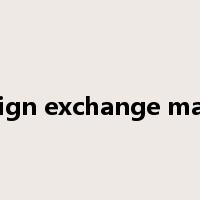 foreign exchange market是什么意思