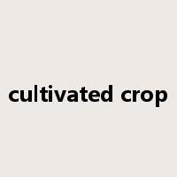 cultivated crop是什么意思