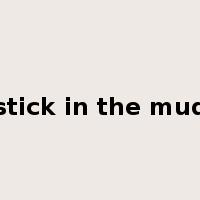 stick in the mud是什么意思