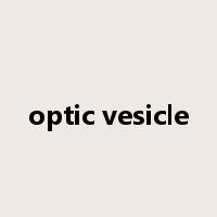 optic vesicle是什么意思
