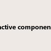 active component是什么意思
