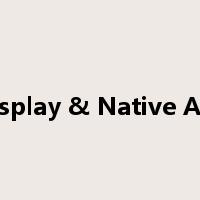 Display & Native Ads是什么意思