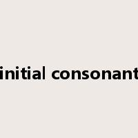 initial consonant是什么意思