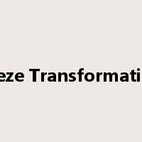 Freeze Transformations是什么意思