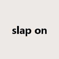 slap on是什么意思
