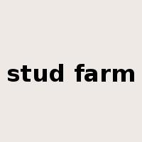 stud farm是什么意思