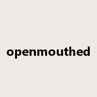 openmouthed是什么意思