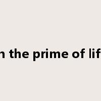 in the prime of life是什么意思