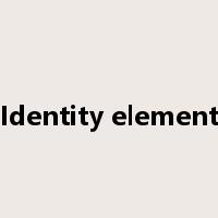 Identity element是什么意思
