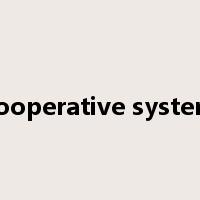 cooperative system是什么意思