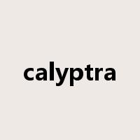 calyptra是什么意思