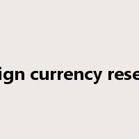 foreign currency reserves是什么意思