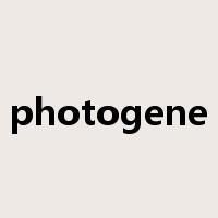 photogene是什么意思