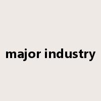 major industry是什么意思