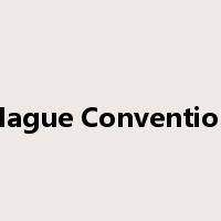Hague Convention是什么意思