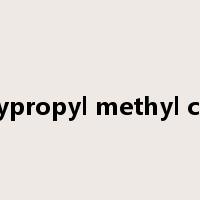 hydroxypropyl methyl cellulose是什么意思