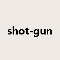 shot-gun是什么意思