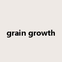 grain growth是什么意思