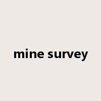 mine survey是什么意思