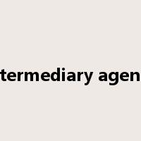intermediary agency是什么意思