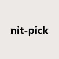 nit-pick是什么意思
