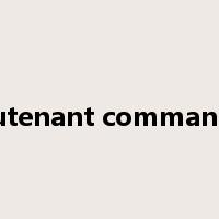 lieutenant commander是什么意思