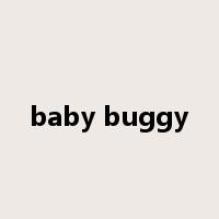 baby buggy是什么意思