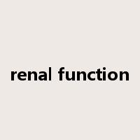 renal function是什么意思
