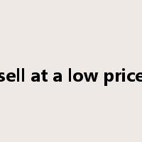 sell at a low price是什么意思