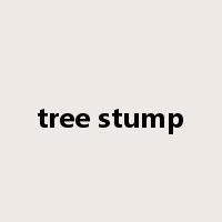 tree stump是什么意思