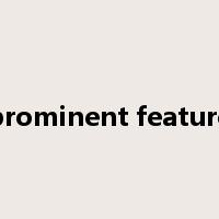 prominent feature是什么意思