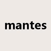 mantes是什么意思