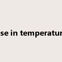 rise in temperature是什么意思