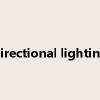 directional lighting是什么意思