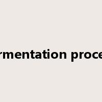 fermentation process是什么意思